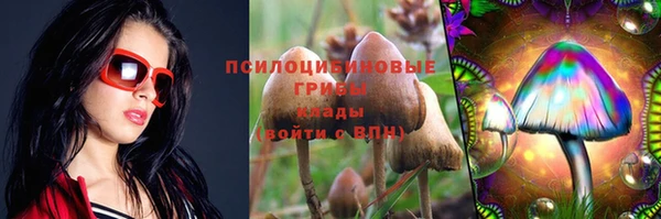 прущие крисы Верея