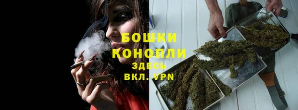 прущие крисы Верея