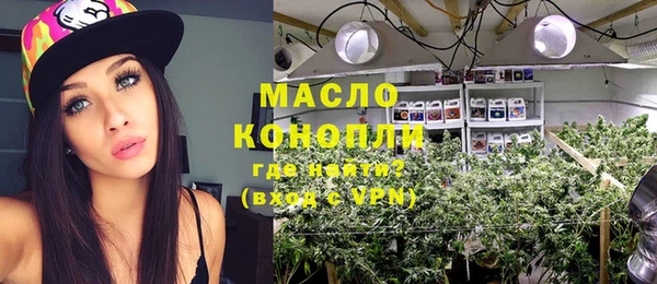 молекула духа Верхний Тагил